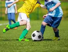 秋叶秘语,期双色球精,准预测,足彩网官网,足彩网集团,足彩网,足彩网赛事中心,足彩网体育运营官方,足彩网直播官方