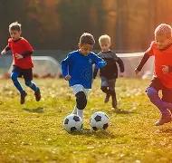 蛇年彩神秘,双色球下期,红球绝杀攻,足彩网官网,足彩网集团,足彩网,足彩网赛事中心,足彩网体育运营官方,足彩网直播官方