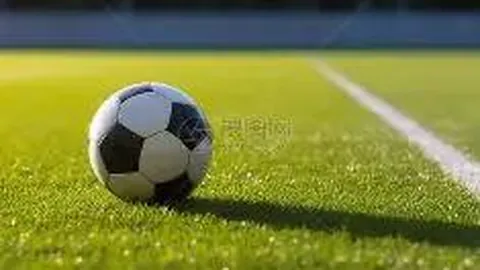 【彩界揭秘】双色球25138期精准预测：专家杀号定胆，战绩辉煌，揭秘中奖密码！