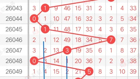 大乐透020期专家预测：五行定位精选杀号06 16 24 2